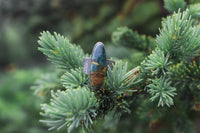 Size 7.25 Lake Bottom Ring