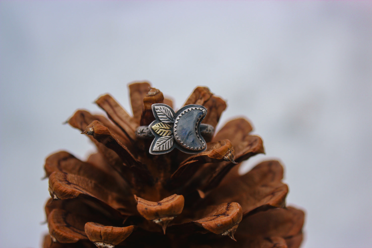 Size 8 Under the Moon Ring