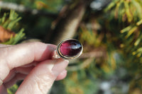 Size 8 Regal Ring with 18k gold