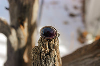 Size 8 Regal Ring with 18k gold