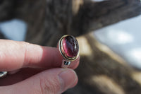 Size 8 Regal Ring with 18k gold