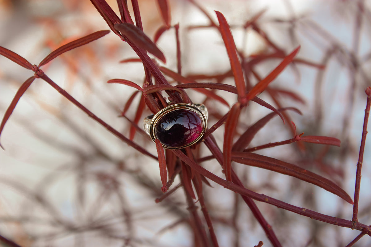 Size 8 Regal Ring with 18k gold