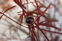 Size 8 Regal Ring with 18k gold