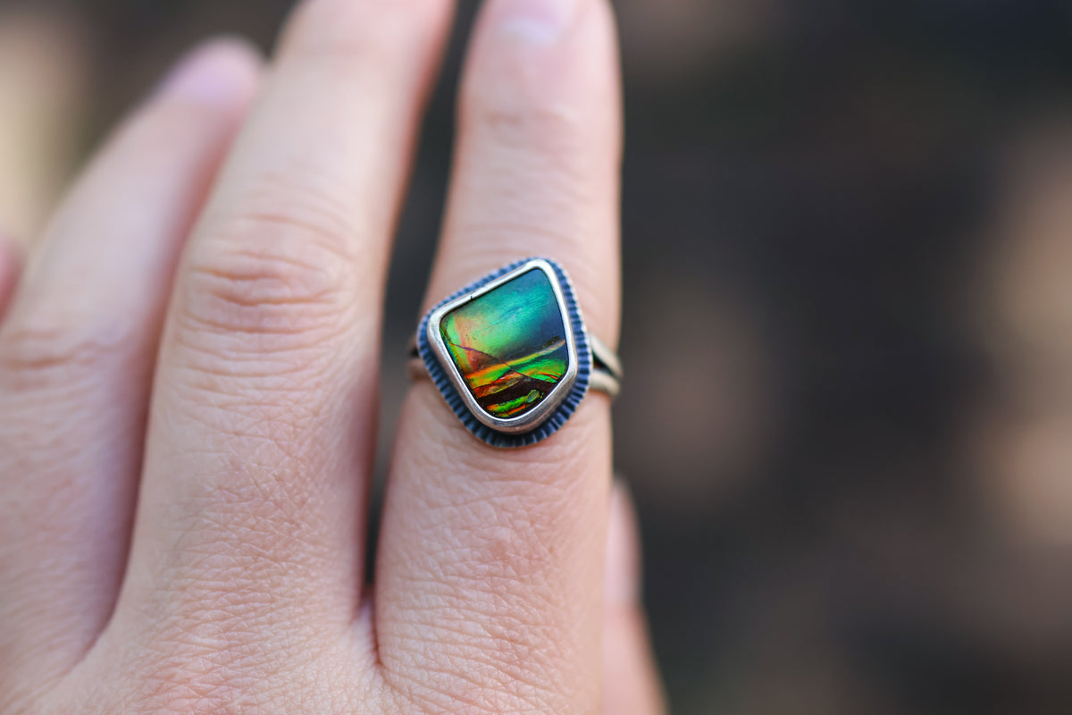 Size 6.75 Nautilus Ring