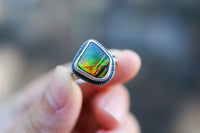 Size 6.75 Nautilus Ring