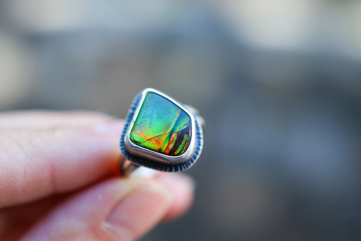 Size 6.75 Nautilus Ring