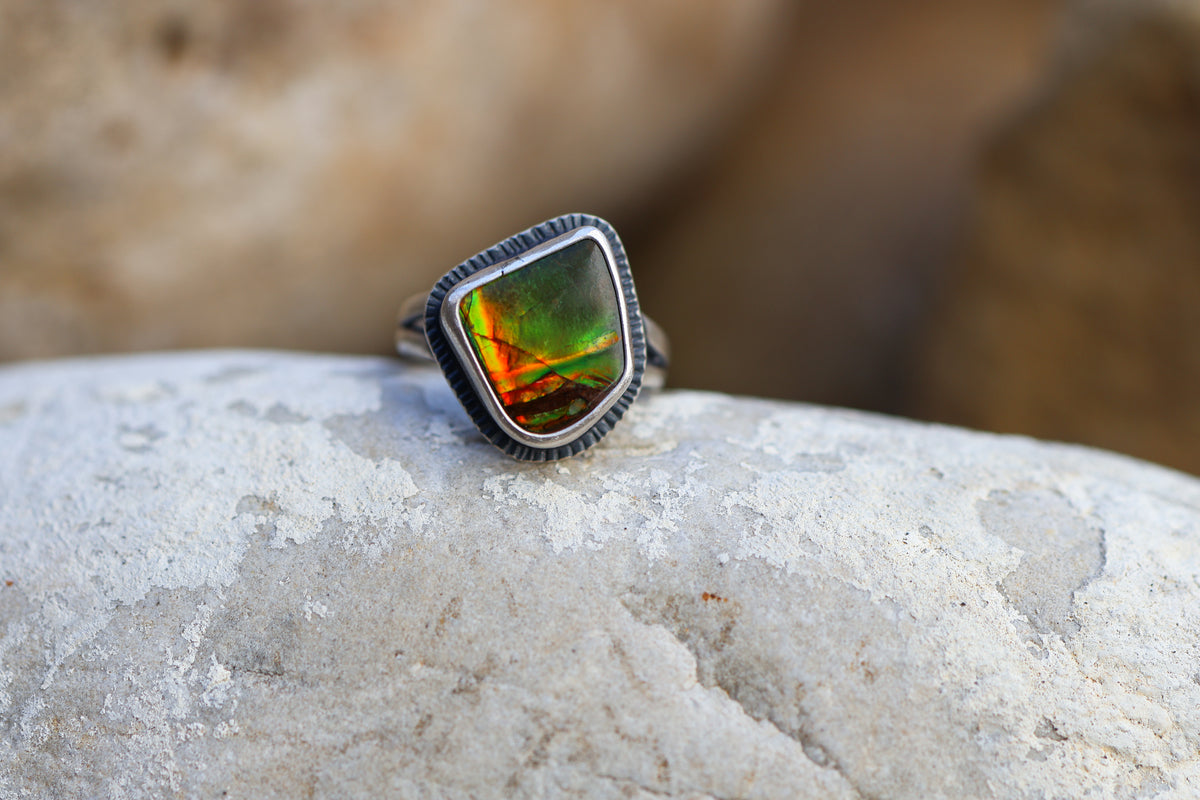 Size 6.75 Nautilus Ring