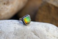 Size 6.75 Nautilus Ring