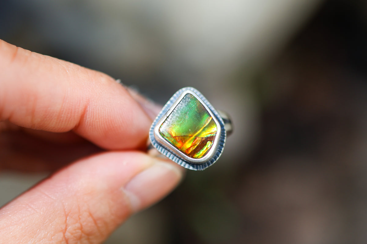 Size 6.75 Nautilus Ring