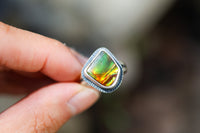 Size 6.75 Nautilus Ring
