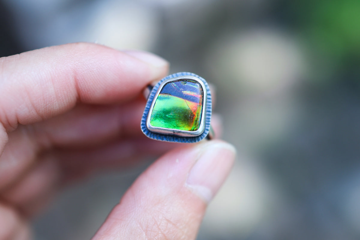 Size 6.75 Nautilus Ring