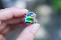 Size 6.75 Nautilus Ring