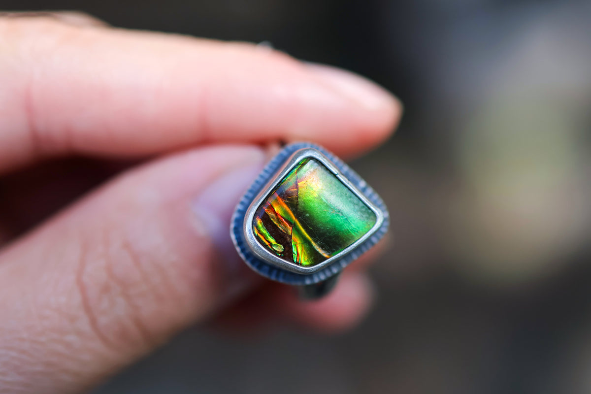 Size 6.75 Nautilus Ring
