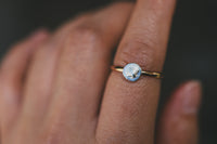 Size 7.75 Shell Ring