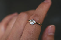 Size 7.75 Shell Ring