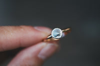 Size 7.75 Shell Ring