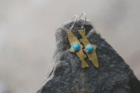 Fish Around Earrings