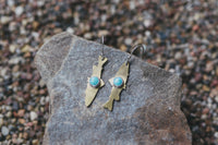Fish Around Earrings