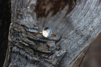 Size 8 Frost Flowers Ring- 14k Gold