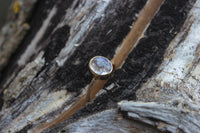 Size 8 Frost Flowers Ring- 14k Gold