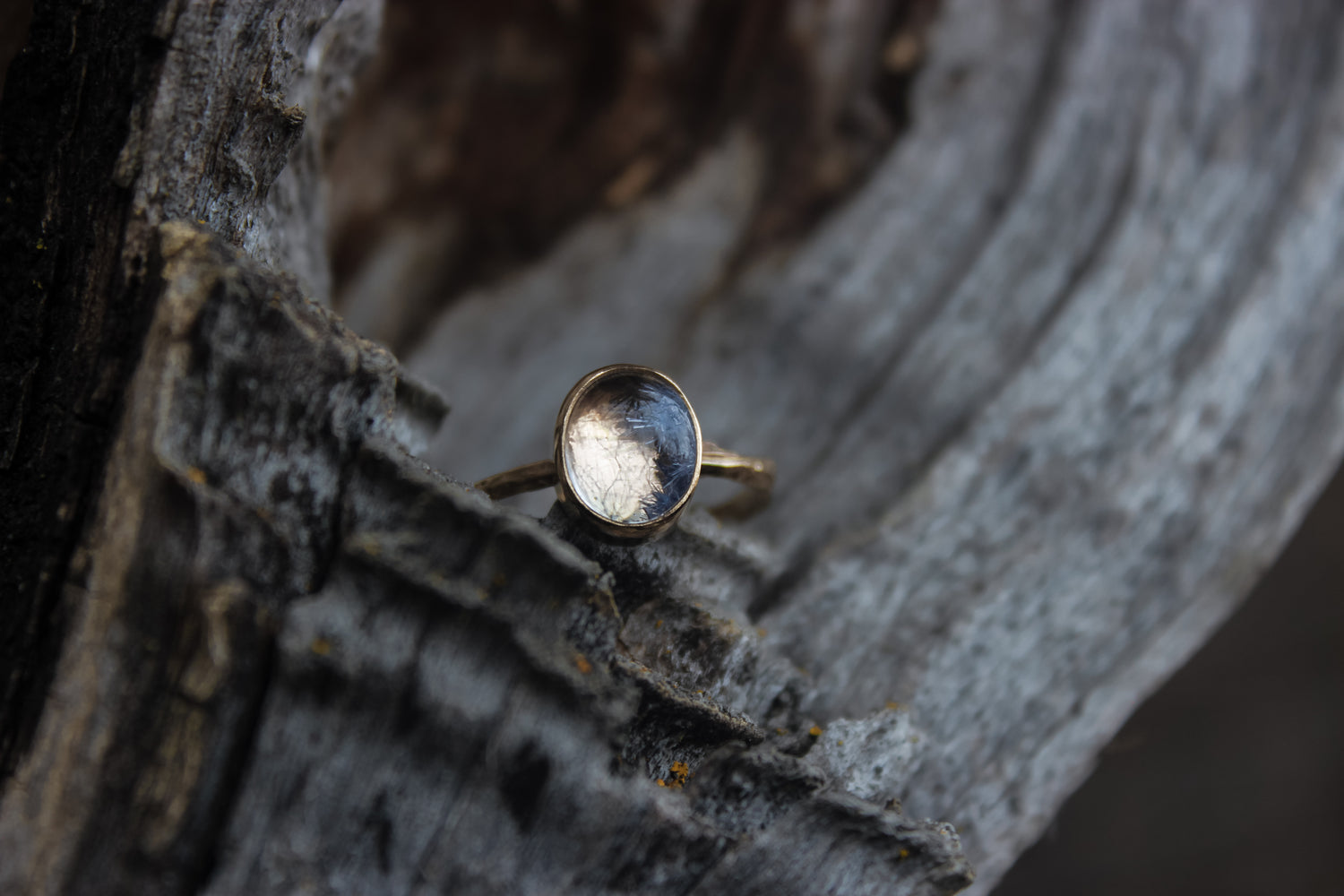 Size 8 Frost Flowers Ring- 14k Gold